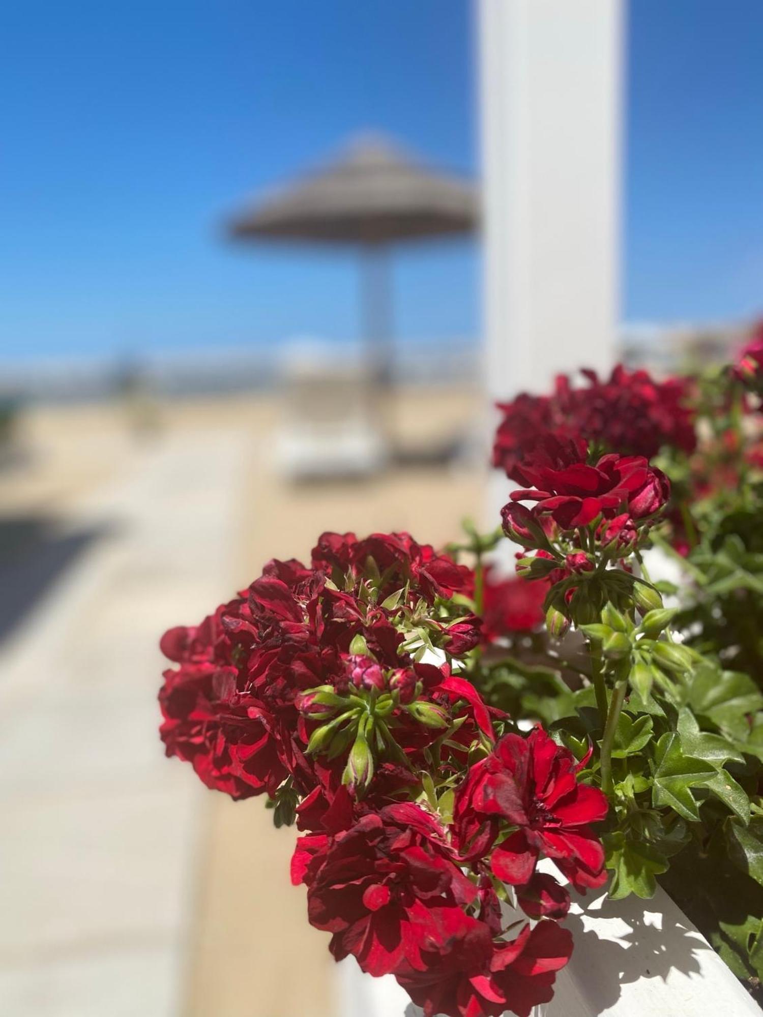 Marina Bay Beach Hotel Peschici Zewnętrze zdjęcie